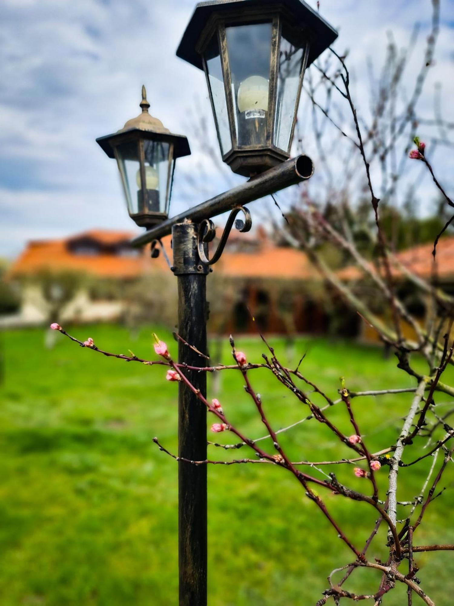 Gosciniec Gryszczeniowka & Spa Wargowo Dış mekan fotoğraf