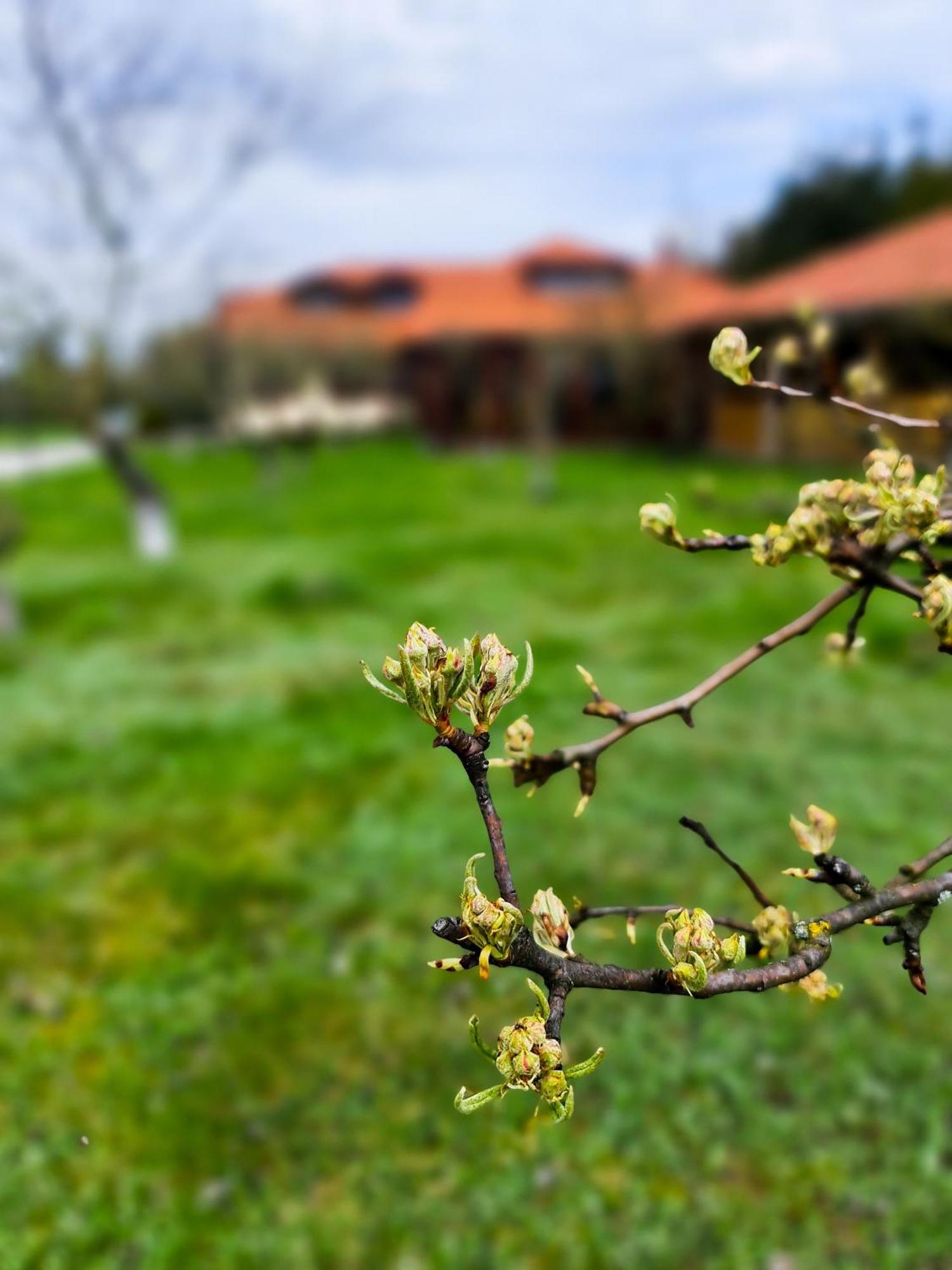 Gosciniec Gryszczeniowka & Spa Wargowo Dış mekan fotoğraf