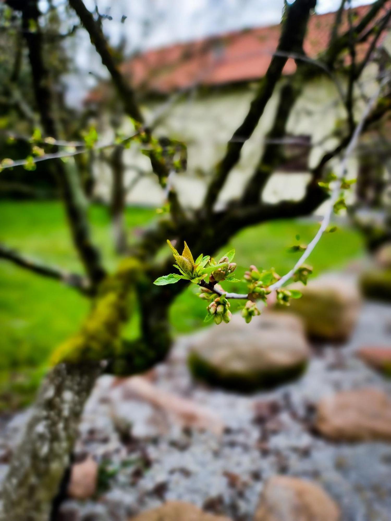 Gosciniec Gryszczeniowka & Spa Wargowo Dış mekan fotoğraf