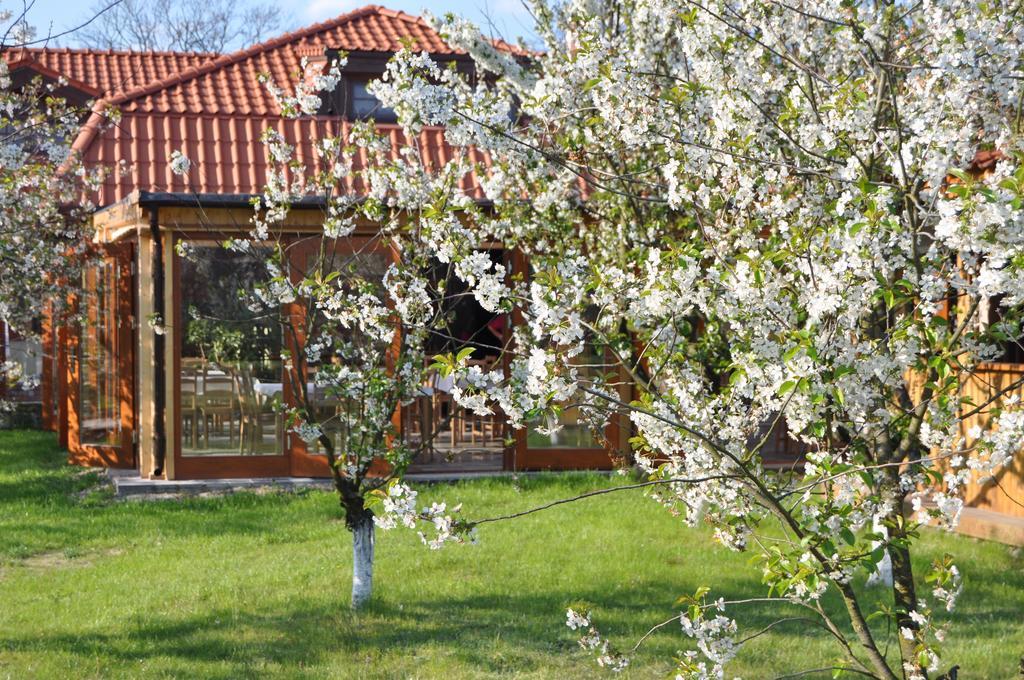 Gosciniec Gryszczeniowka & Spa Wargowo Dış mekan fotoğraf